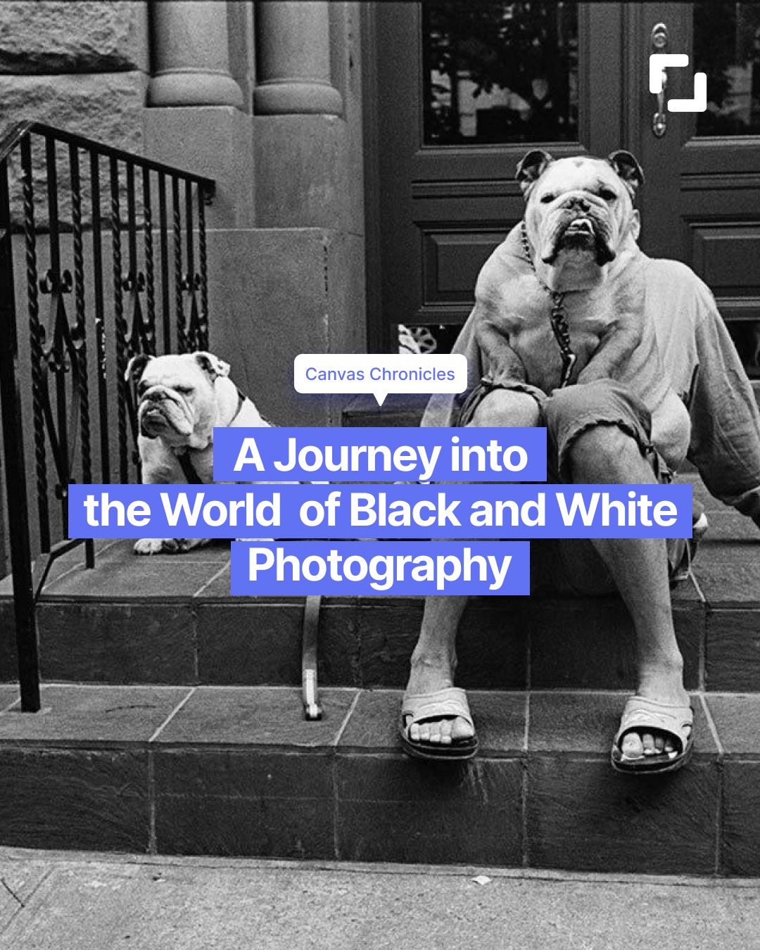 Canvas Chronicles: A Journey into the World of Black and White Photography
